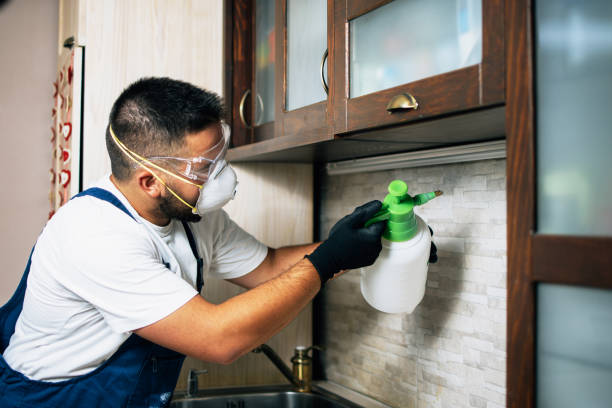 Best Flea Control Services  in Amherst, WI