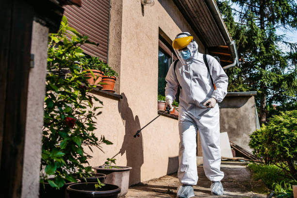 Trusted Amherst, WI Pest Control Experts