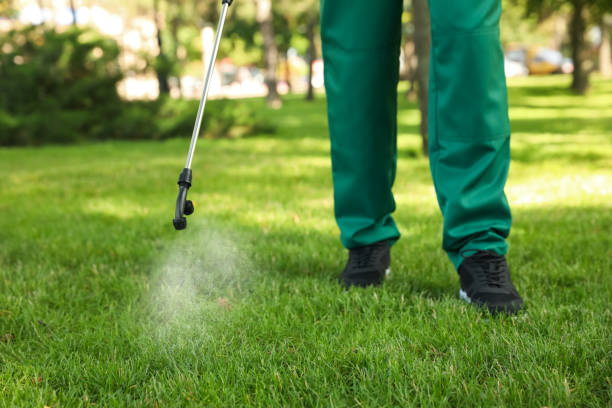 Best Bed Bug Extermination  in Amherst, WI