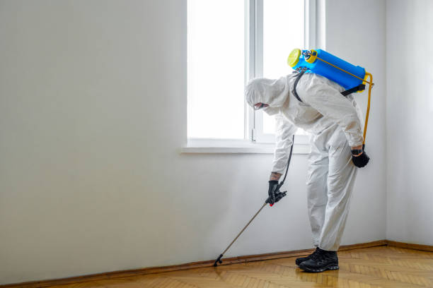 Best Local Pest Control Services  in Amherst, WI